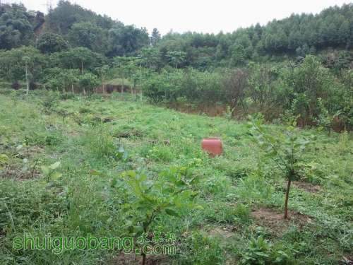 ������С ������С 2013-06-10 16.31.13.jpg