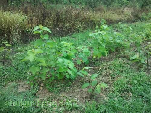 ������С ������С 2013-06-10 16.31.30.jpg