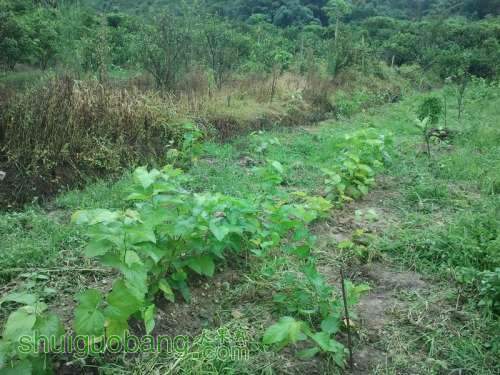 ������С ������С 2013-06-10 16.31.47.jpg