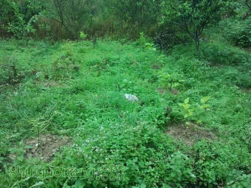 ������С ������С 2013-06-10 16.31.57.jpg