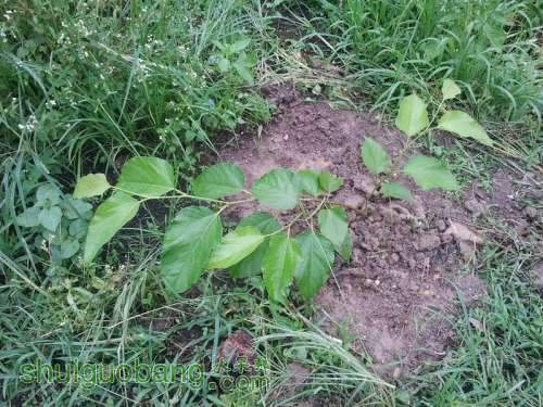 ������С ������С 2013-06-10 16.32.06.jpg