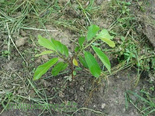 ������С ������С 2013-06-10 16.32.17.jpg