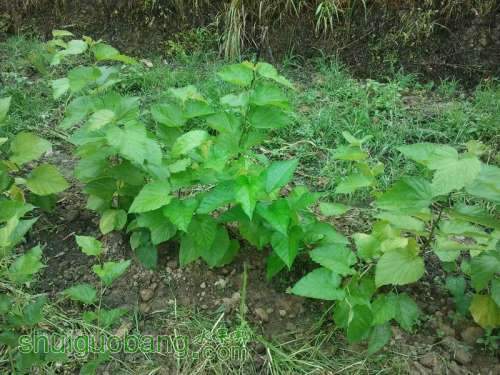 ������С ������С 2013-06-10 16.32.28.jpg