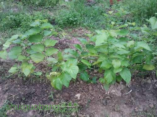 ������С ������С 2013-06-10 16.33.15.jpg