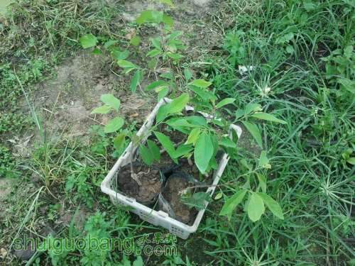 ������С ������С 2013-06-10 16.35.41.jpg