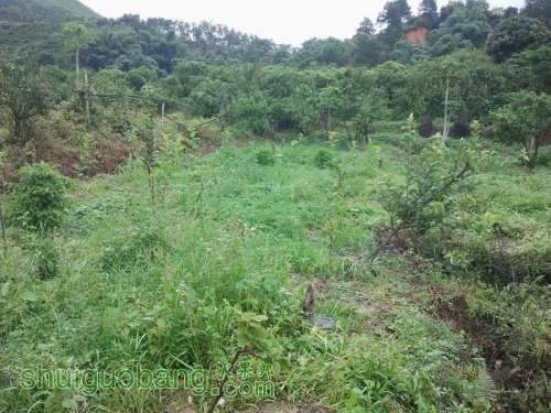 ������С ������С 2013-06-10 16.35.54.jpg