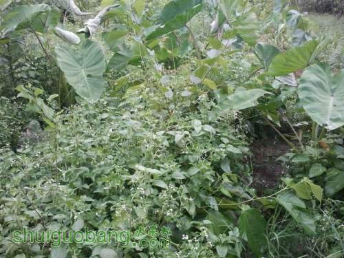 ������С ������С 2013-06-10 17.16.50.jpg