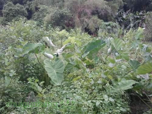 ������С ������С 2013-06-10 17.16.58.jpg