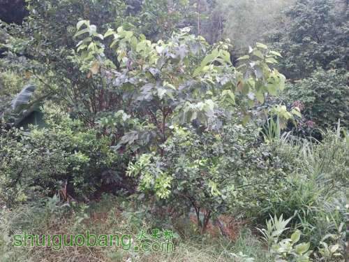 ������С ������С 2013-06-10 17.20.36.jpg