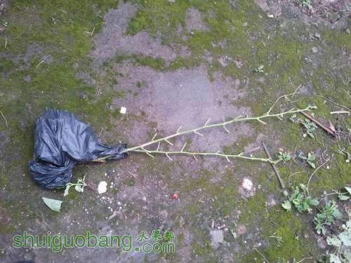 ������С ������С 2013-06-10 17.56.32.jpg