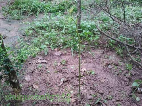 ������С ������С 2013-06-10 18.06.31.jpg