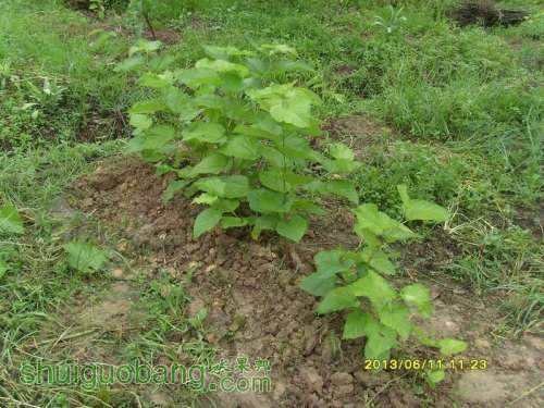 ������С ������С SI855167.JPG