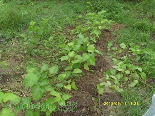 ������С ������С SI855168.JPG