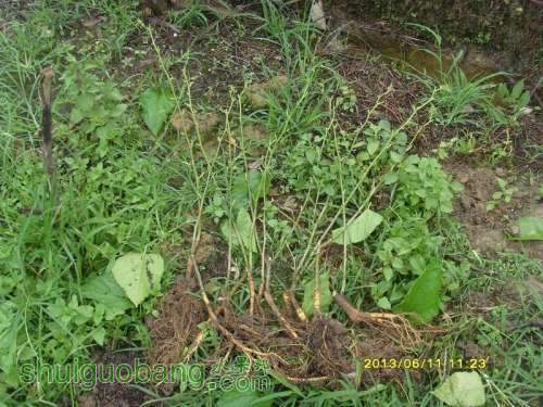 ������С ������С SI855169.JPG