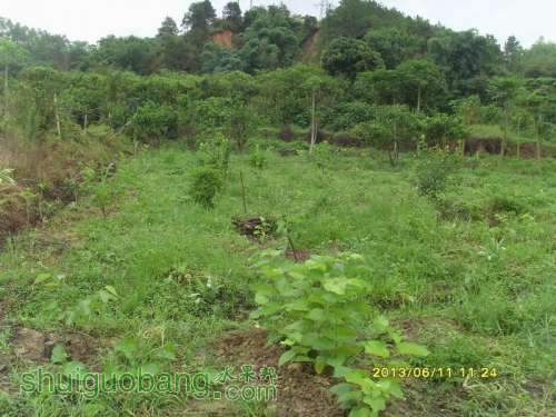 ������С ������С SI855170.JPG