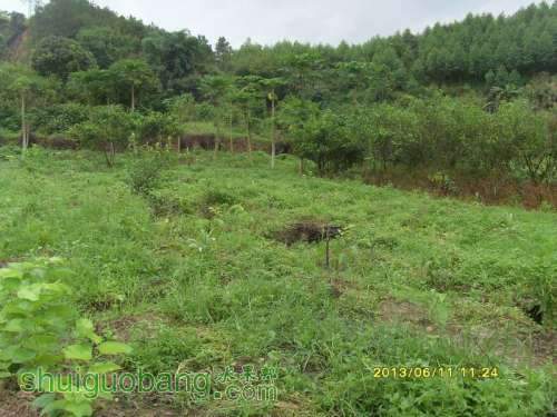 ������С ������С SI855171.JPG