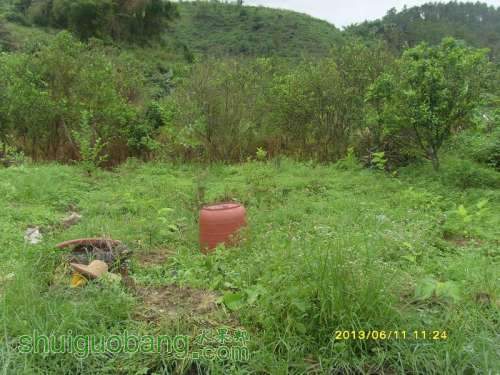 ������С ������С SI855172.JPG