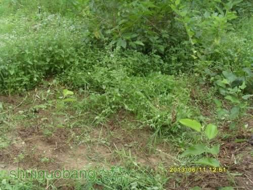 ������С ������С SI855178.JPG