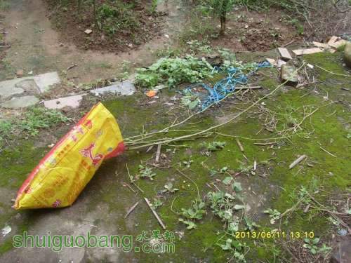 ������С ������С SI855179.JPG