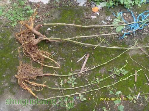 ������С ������С SI855181.JPG