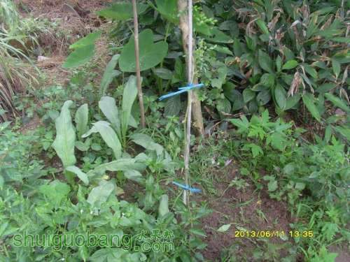 ������С ������С SI855182.JPG