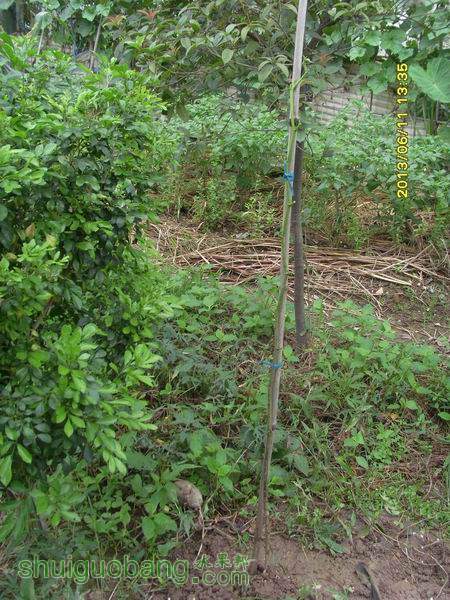 ������С ������С SI855185.JPG