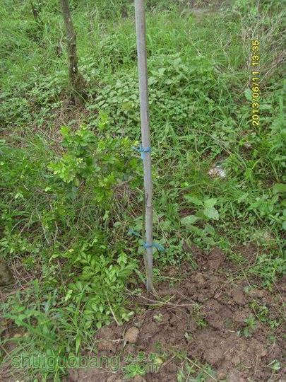 ������С ������С SI855186.JPG