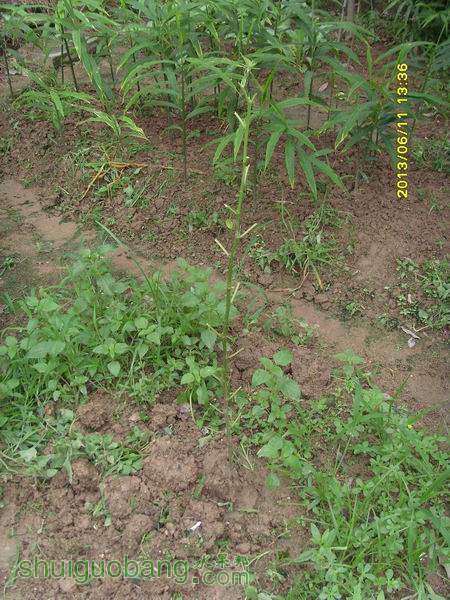 ������С ������С SI855188.JPG