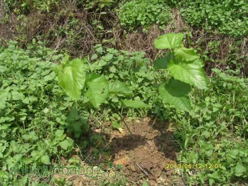 ������С ������С SI855194.JPG