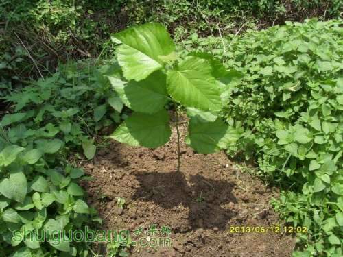 ������С ������С SI855195.JPG