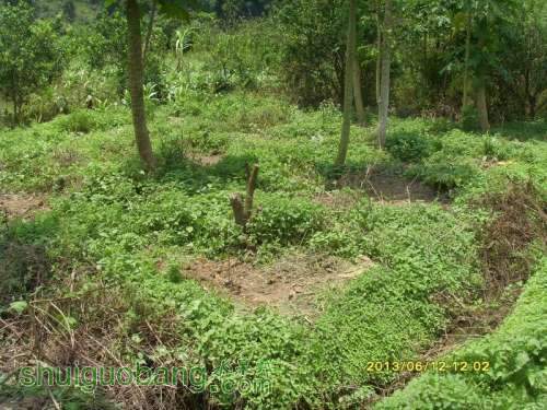 ������С ������С SI855196.JPG