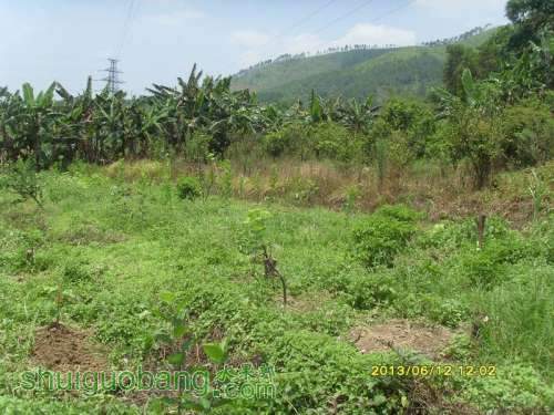 ������С ������С SI855199.JPG