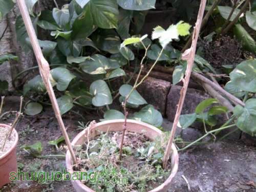 2011-10-30 15.36.27.jpg