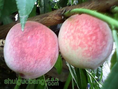 UC_Photo_001.jpg