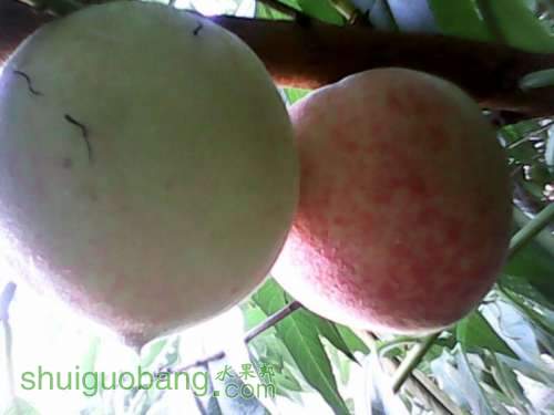 UC_Photo_003.jpg