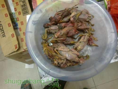 20130601234.jpg