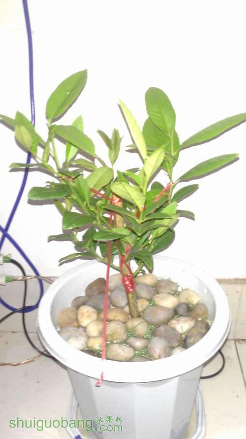 IMAG0209.jpg