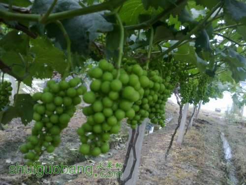20130605421.jpg