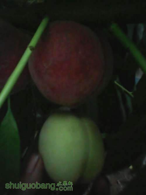 UC_Photo_005.jpg