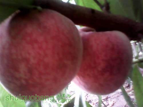 UC_Photo_006.jpg