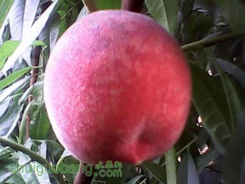 UC_Photo_007.jpg
