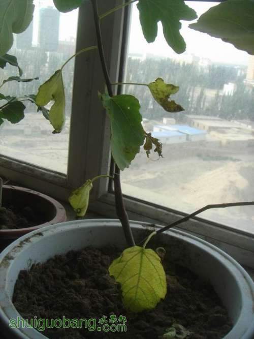 ������С DSC02325.JPG