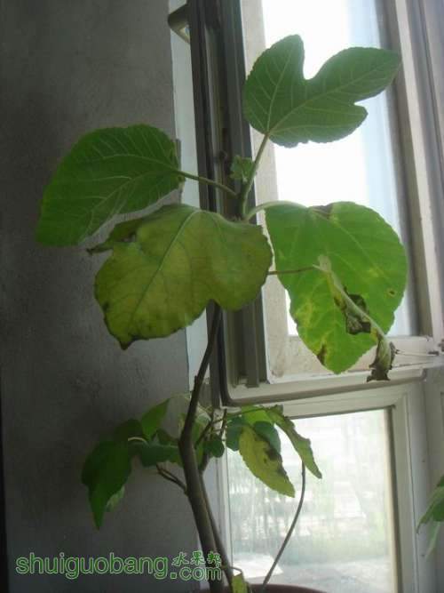 ������С DSC02352.JPG