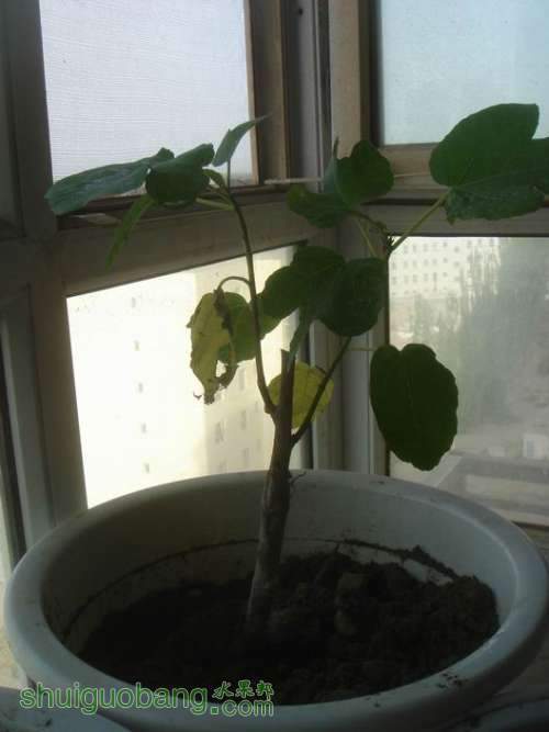������С DSC02354.JPG