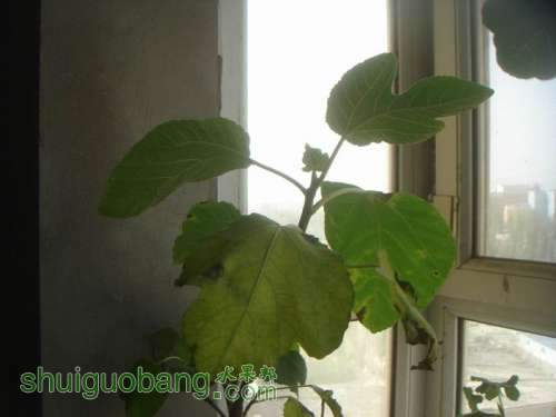 ������С DSC02359.JPG