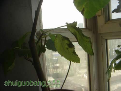 ������С DSC02361.JPG