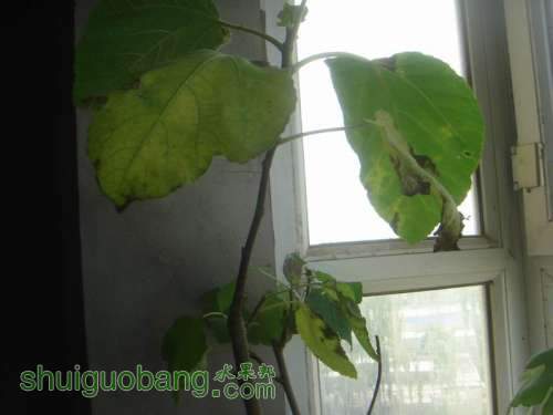 ������С DSC02360.JPG