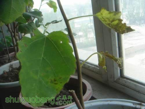 ������С DSC02377.JPG