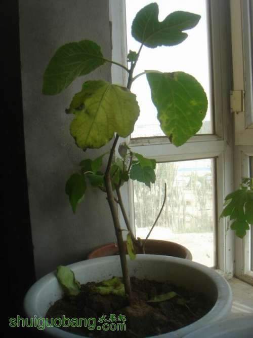 ������С DSC02412.JPG