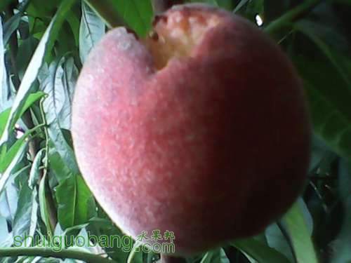 UC_Photo_012.jpg